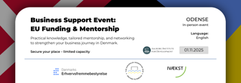 Odense / Business Support Event: EU Funding & Mentorship